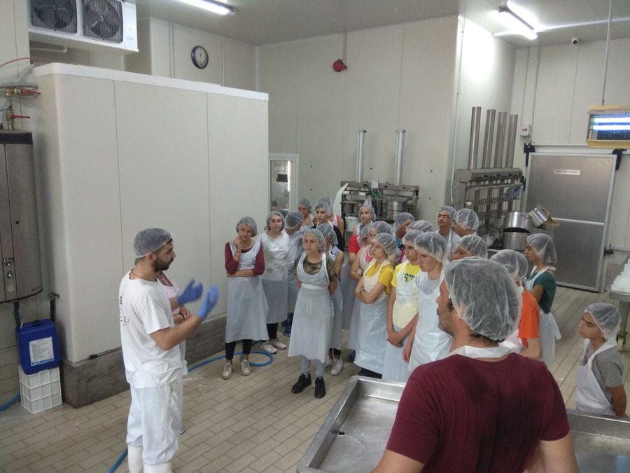 a group of tourists listening to a man giving a tour at 'Mystakelli Dairy' plant